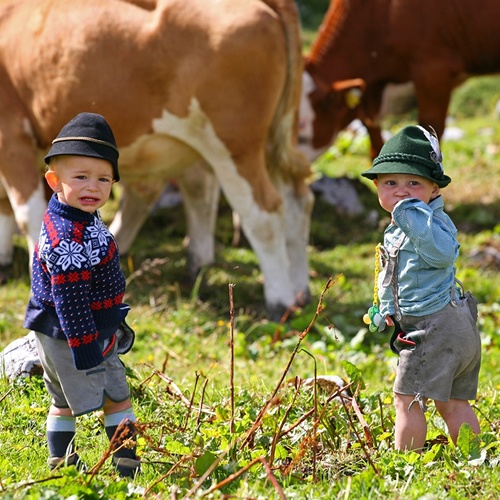 Kleine Kinder bei den Kühen im Sommerurlaub in Ramsau